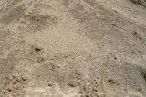 C33 Sand thumbnail 2