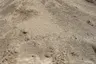 C33 Sand thumbnail 2