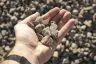 #57 Crushed Stone thumbnail 7
