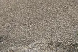 3/4" Natural Round River Stone thumbnail 2