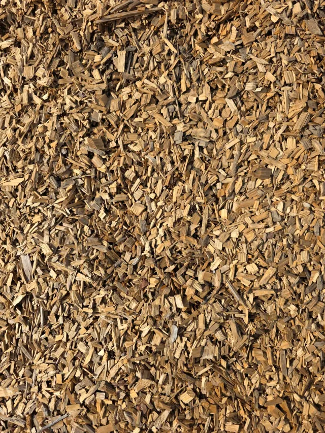 Wood Chips — photo 4