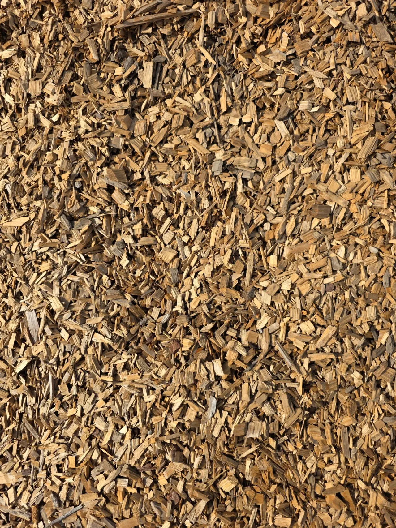 Wood Chips — image 4 of 5
