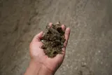 Sand (5/8" Minus) thumbnail 1
