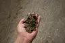 Sand (5/8" Minus) thumbnail 1
