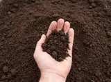 Garden Soil thumbnail 1