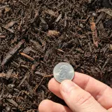 Compost Soil thumbnail 3