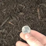 Compost Soil thumbnail 3