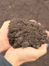 Lava Sand Planting Mix thumbnail 2