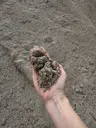 Concrete Sand thumbnail 1