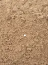Masonry Sand thumbnail 2