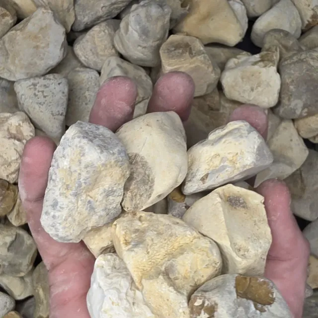 River Gravel — photo 3