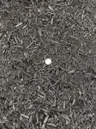 Enriched Organic Compost thumbnail 2