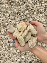 Lateral Rock thumbnail 3