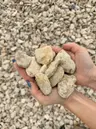 Lateral Rock thumbnail 3