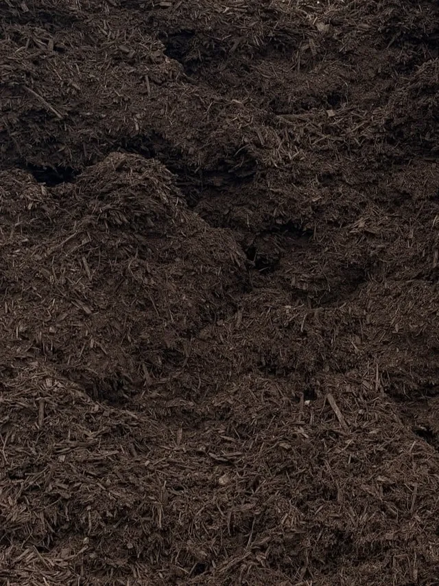 Saddle Brown Mulch