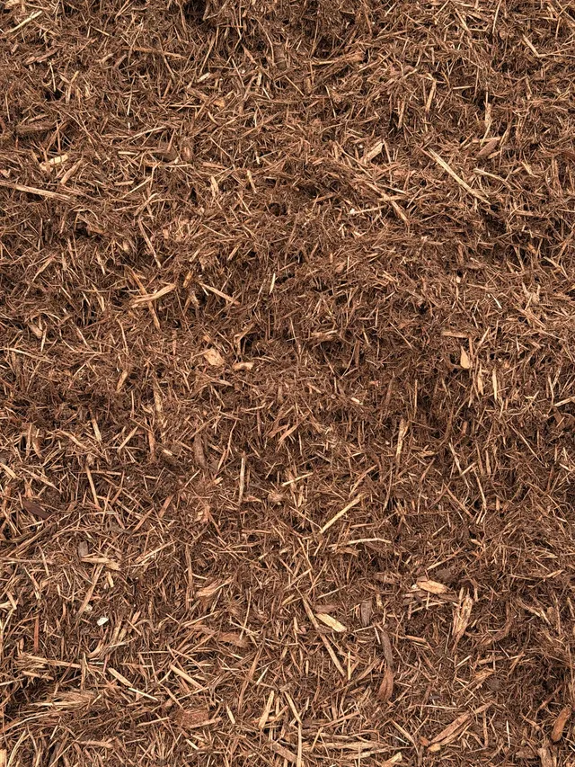 Aromatic Cedar Mulch