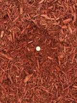 Red Mulch thumbnail 2