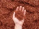 Shredded Red Mulch thumbnail 1