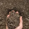 Garden Soil thumbnail 4