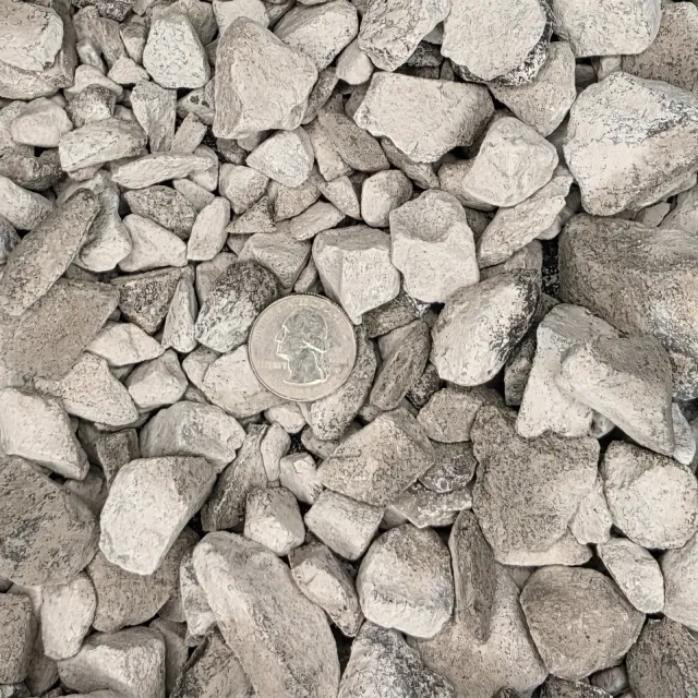 #57 Limestone — photo 3