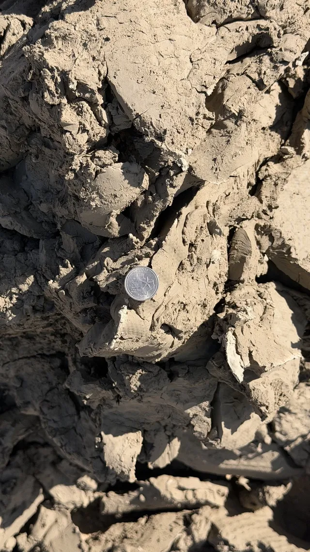 Pond Clay — photo 3