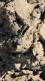 Pond Clay thumbnail 3