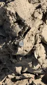 Pond Clay thumbnail 3