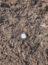 Garden Soil thumbnail 2