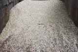 #57 River Gravel 3/4" thumbnail 4