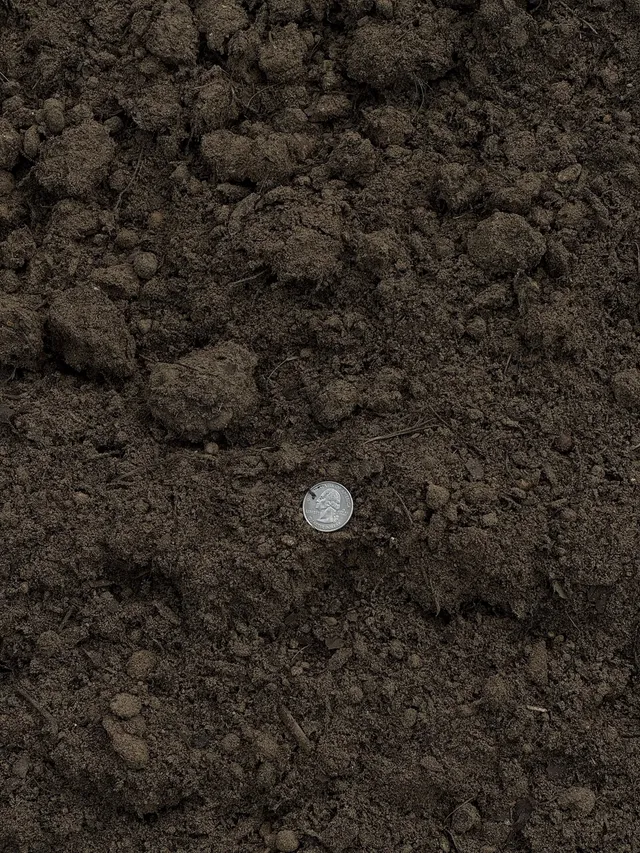 Topsoil — photo 2
