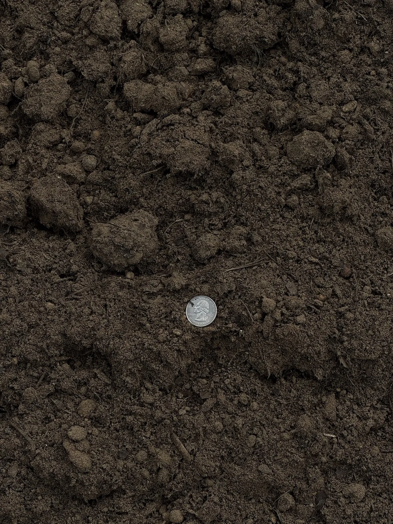 Topsoil — image 2 of 7
