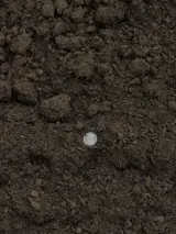 Topsoil thumbnail 2