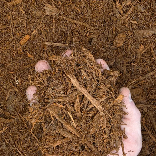 Red Hardwood Mulch — photo 3