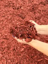 Red Mulch thumbnail 3