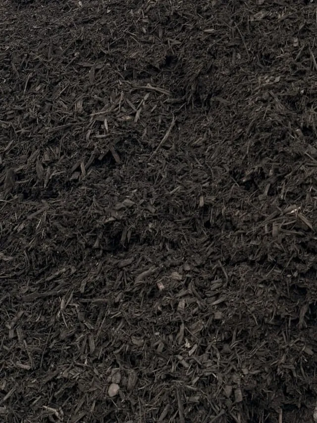 Black Anvil Mulch