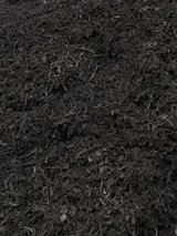 Black Anvil Mulch thumbnail 1
