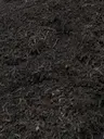Black Anvil Mulch thumbnail 1