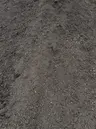Premium Soil Mix thumbnail 4