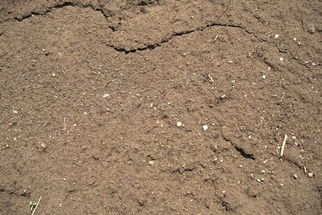 Screened Loam