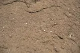 Screened Loam thumbnail 1
