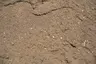 Screened Loam thumbnail 1