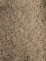 Screened Cushion Sand 1" Minus thumbnail 2