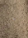 Screened Cushion Sand 1" Minus thumbnail 2