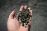 Trap Rock Screenings (1/2" Minus) thumbnail 1