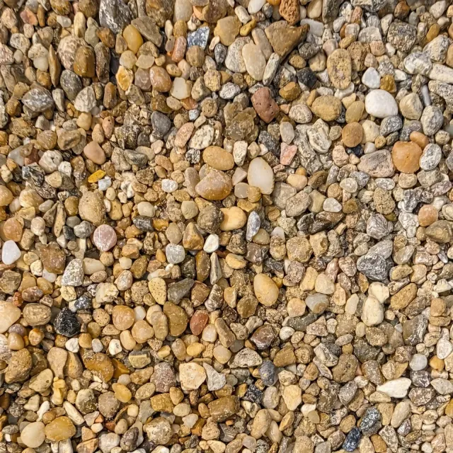 Golden Pea Gravel — photo 3
