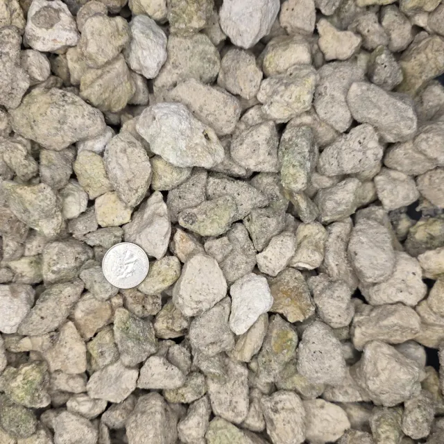 #467 Limestone — photo 2
