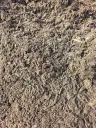 Garden Soil thumbnail 3