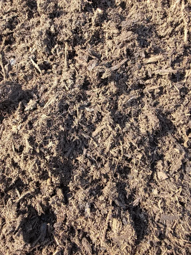 Compost Soil — photo 3