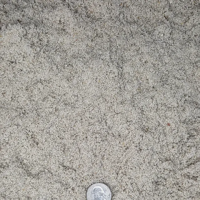 White Sand — photo 2