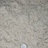 White Sand thumbnail 3